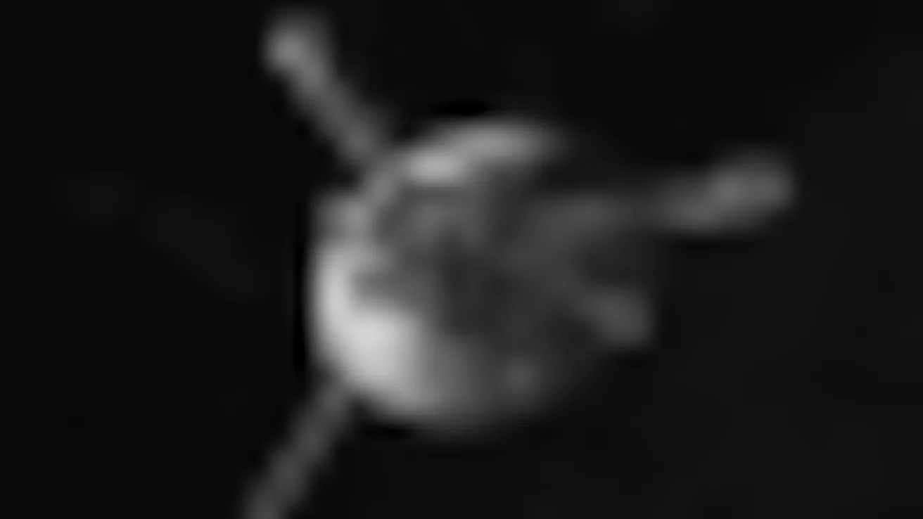 First image of the Tailless vessel